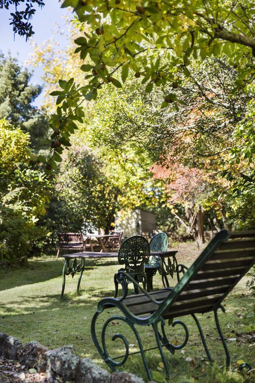 Bed and Breakfast Secrets Hideaway Blackheath Zewnętrze zdjęcie