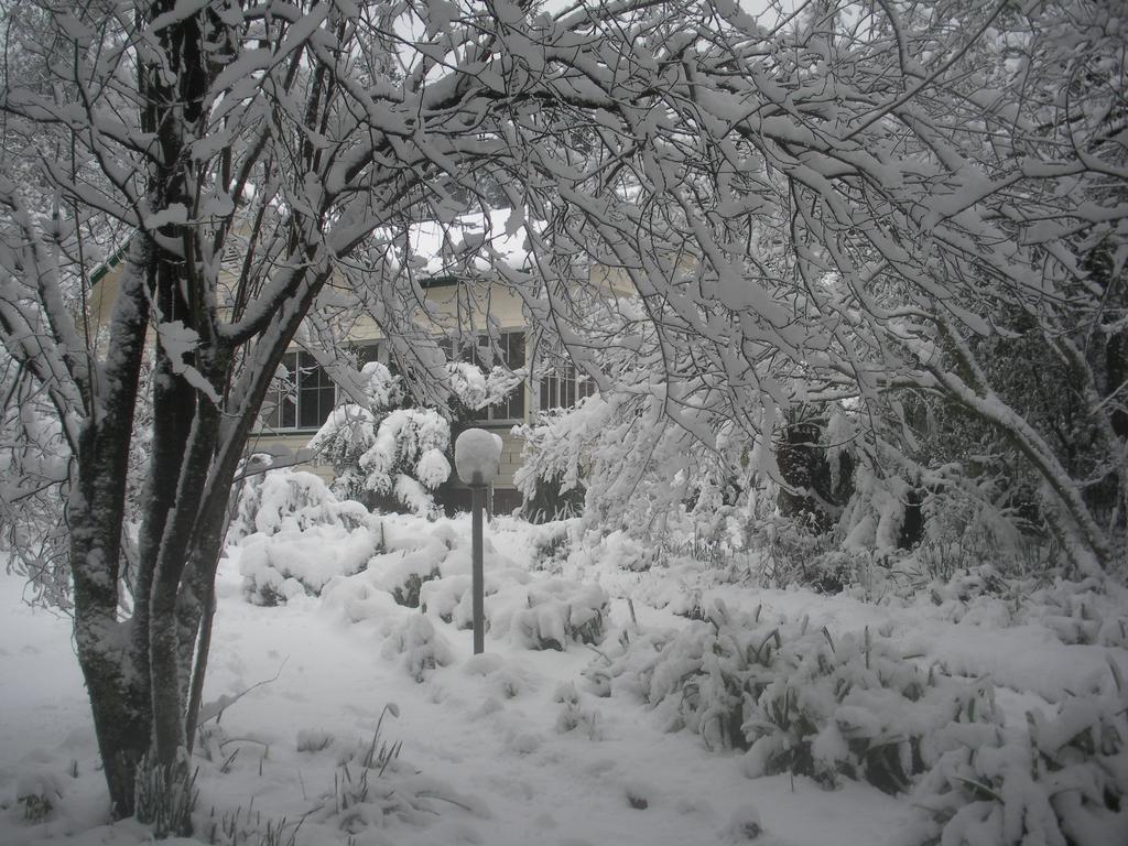 Bed and Breakfast Secrets Hideaway Blackheath Zewnętrze zdjęcie