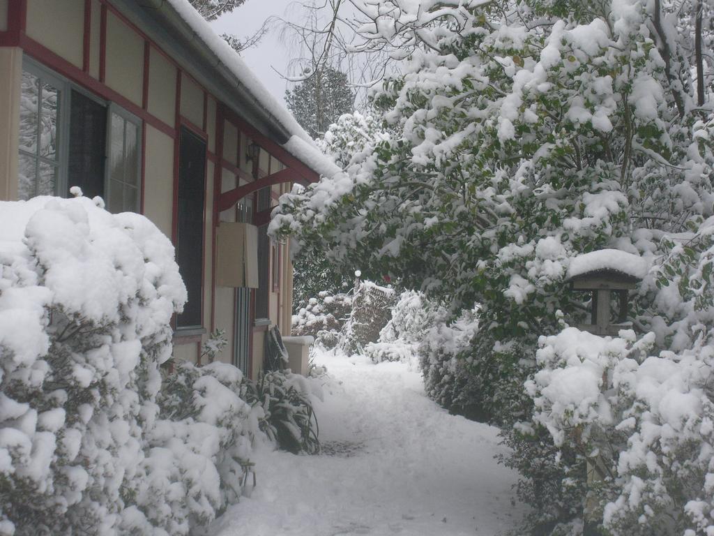 Bed and Breakfast Secrets Hideaway Blackheath Zewnętrze zdjęcie